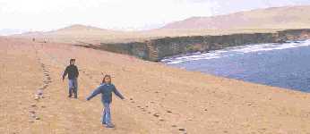 ines.jpg (6244 bytes)